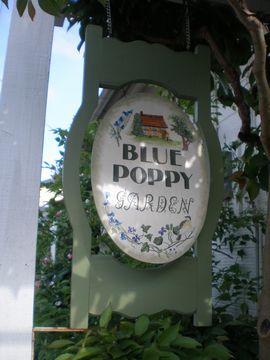 �I�[�v���K�[�f��