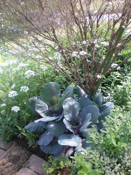 ���L���x�c