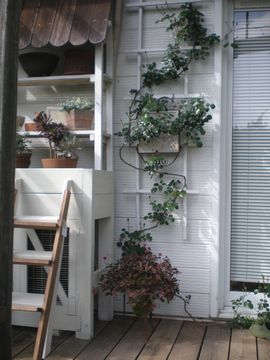 �I�[�v���K�[�f��