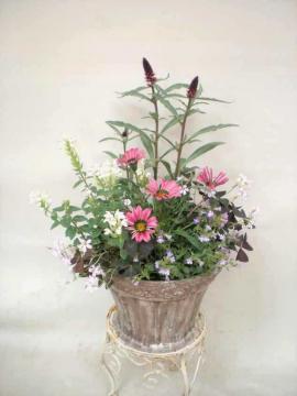 �X�N�e�����A