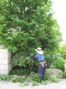 ���c����