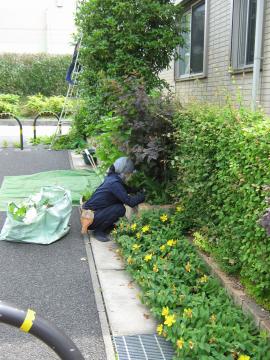 ���c����