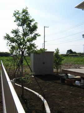 ���u�@�^�J�V���[