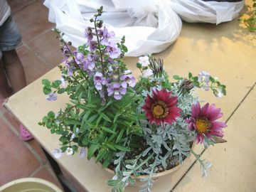 �񂹐A������