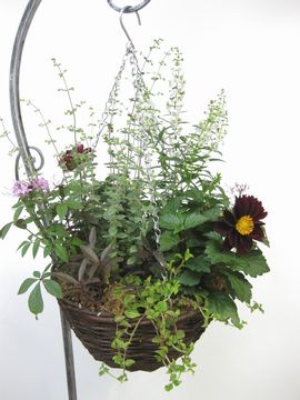 �n���M���O�@�񂹐A��