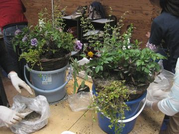 �񂹐A������