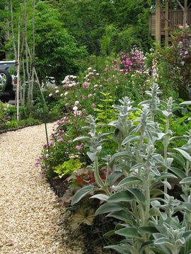 �����Y�C���[