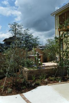 �L�b�`���K�[�f��