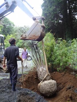 �R�R�X�@�ړ�