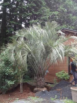 �R�R�X�S��