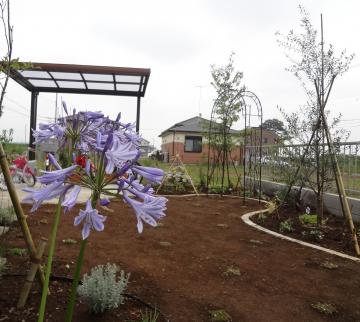 �A�K�p���T�X