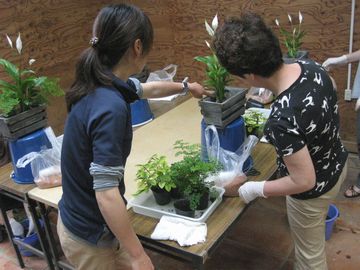 �񂹐A������