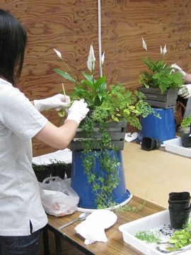 �񂹐A������