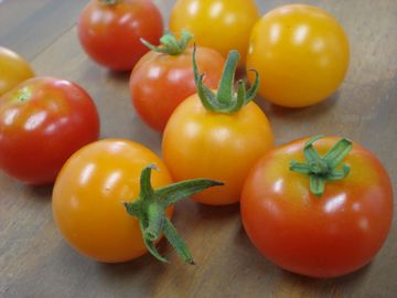 �~�j�g�}�g