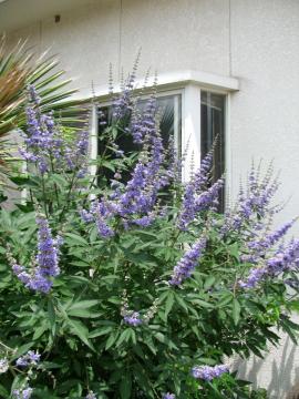 �j���W���{�N