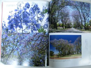 �W���J�����_