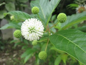 �Z�t�@�����T�X