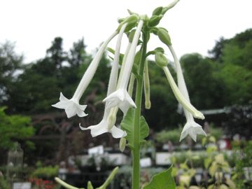 �j�R�`�A�i�@�V���x�X�g���X