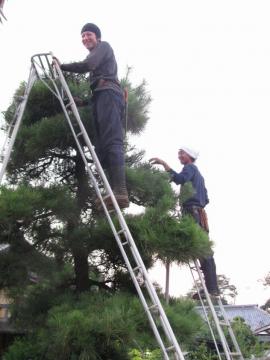 �V�X�^�b�t