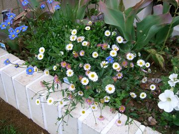 �G���Q����