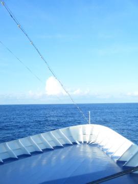 ���̃f�b�L