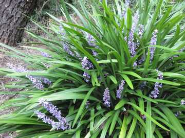 ���u����