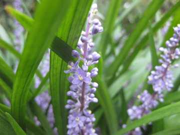 ���u����