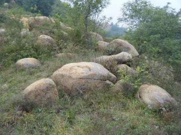 �]�����!?