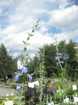 �T���r�A�@�A�Y���A