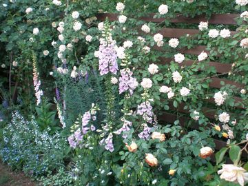 �W�M�^���X