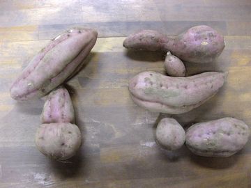 �T�c�}�C��