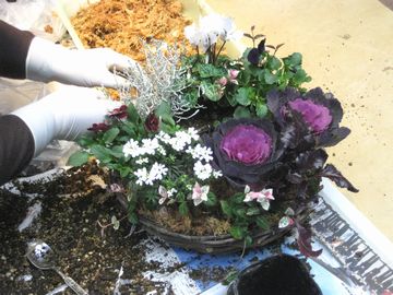 �񂹐A������