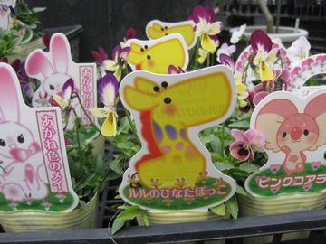 �������|�̃r�I��