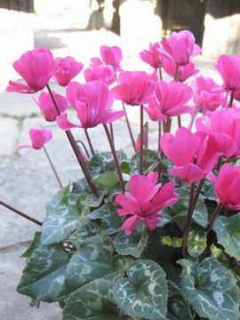 �~�j�V�N������