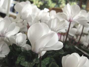 �~�j�V�N������