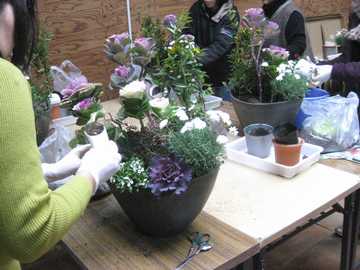 �񂹐A������