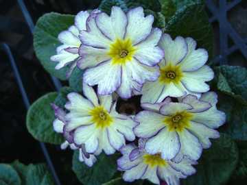 �W�����A��