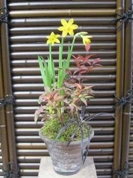 �����@�񂹐A��