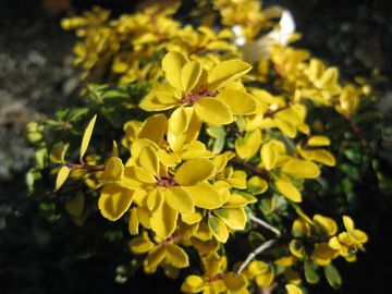 �C�k�c�Q�@�q�����[