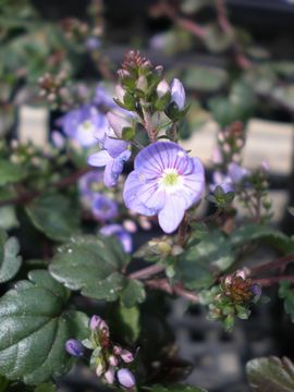 �}�_���}���V�A