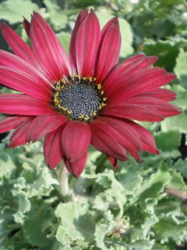 �A�[�N�g�`�X