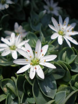 �V�R�^���n�R�x