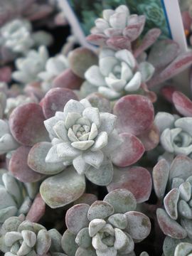 ����~�Z�o��