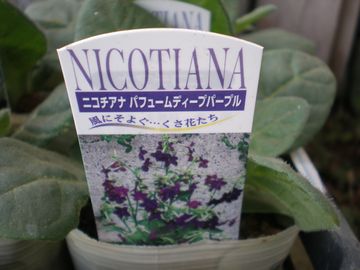 �j�R�`�A�i