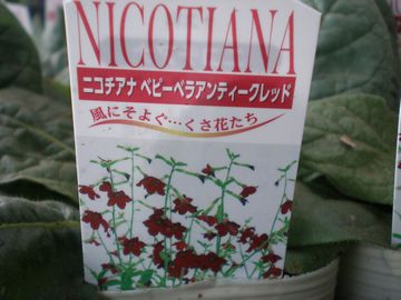 �j�R�`�A�i