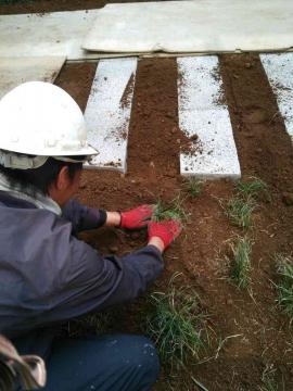 �n��A���A��