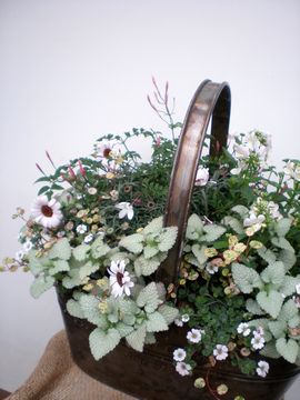 �񂹐A������