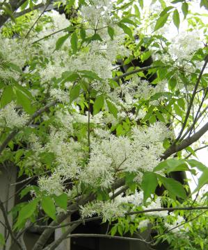 �A�I�_����