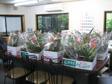 ��̓��񂹐A��