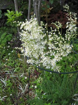 �Z�كV���c�P�\�E